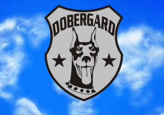 DOBERGARD bezbednosni konsalting