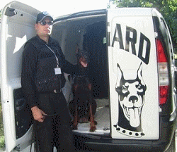 DOBERGARD Doberman