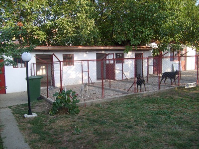 Hotel za pse